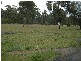 Willow Vale NSW 2575