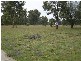 Willow Vale NSW 2575