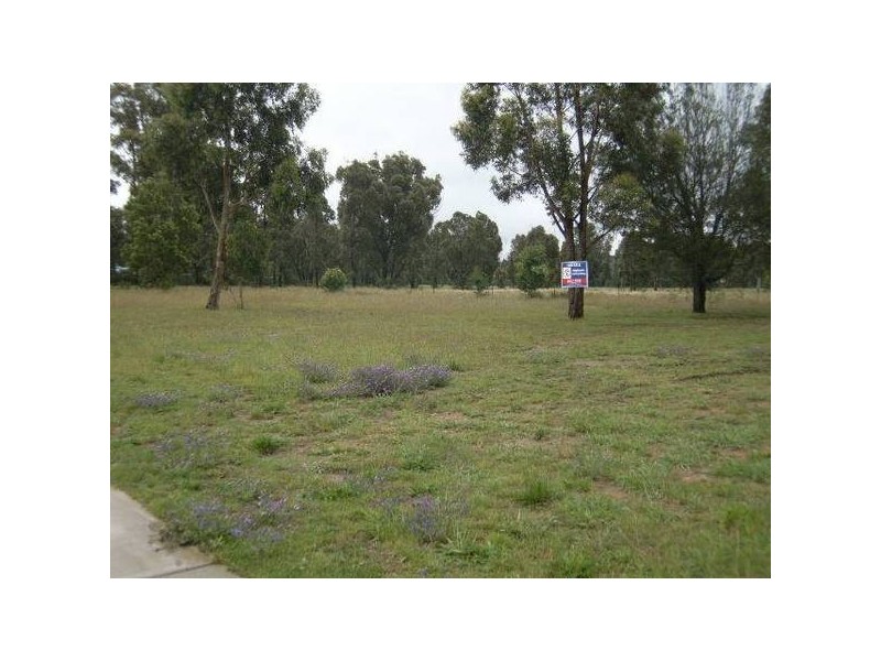 Willow Vale NSW 2575