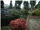 64 Banksia Street, Colo Vale NSW 2575