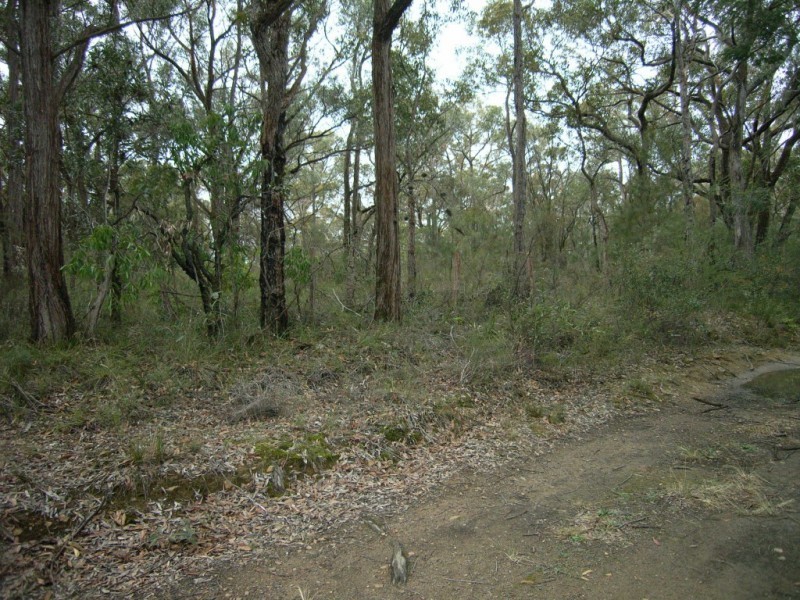 30 – 32 Harold Street, Hill Top NSW 2575