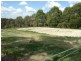 Lot 1 Corrie Road, Alpine NSW 2575