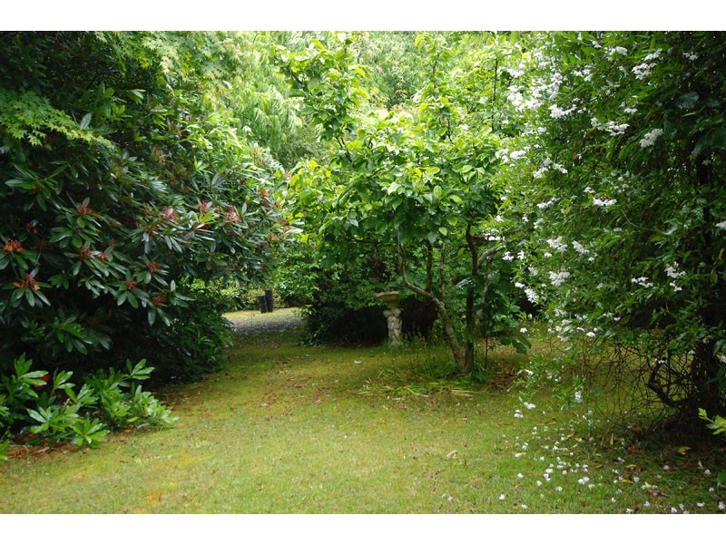 6 Eumemmering Street, Medlow Bath NSW 2780