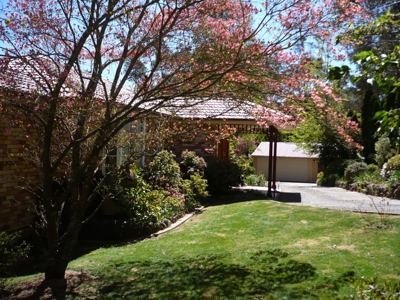 165 Shipley Road, Blackheath NSW 2785