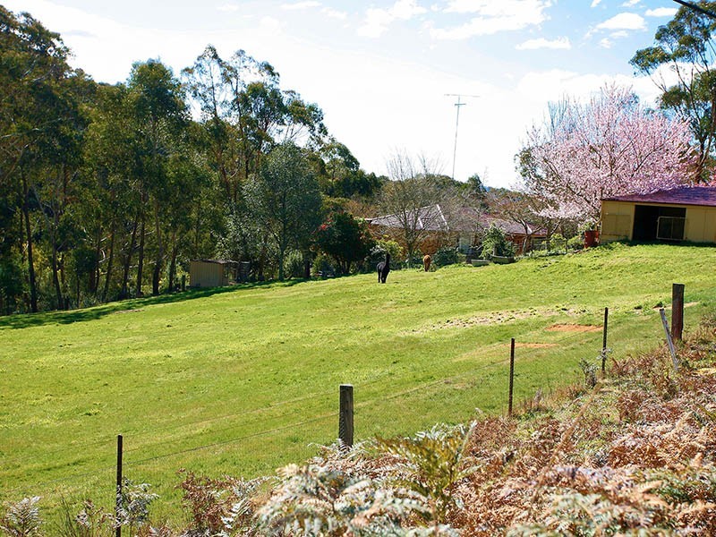 165 Shipley Road, Blackheath NSW 2785