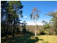 20 Kitchener Road, Wentworth Falls NSW 2782