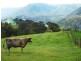 1728 Gangbenang Road, Little Hartley NSW 2790