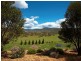 1728 Gangbenang Road, Little Hartley NSW 2790