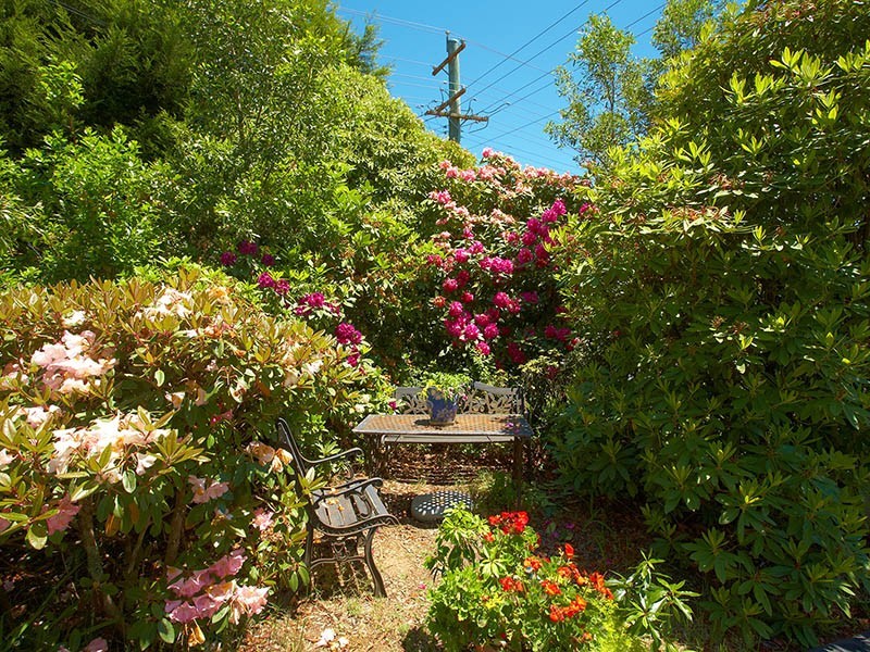 1 Hillier Avenue, Blackheath NSW 2785