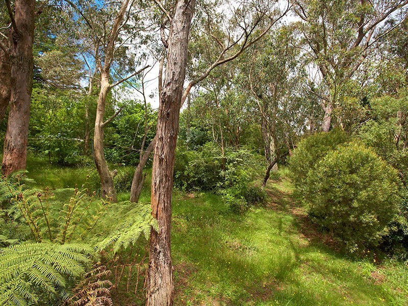 59 Cliff Drive, Katoomba NSW 2780