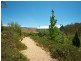 264 megalong place, Kanimbla NSW 2790