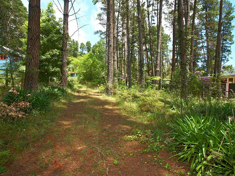 9 Romaine Street, Blackheath NSW 2785