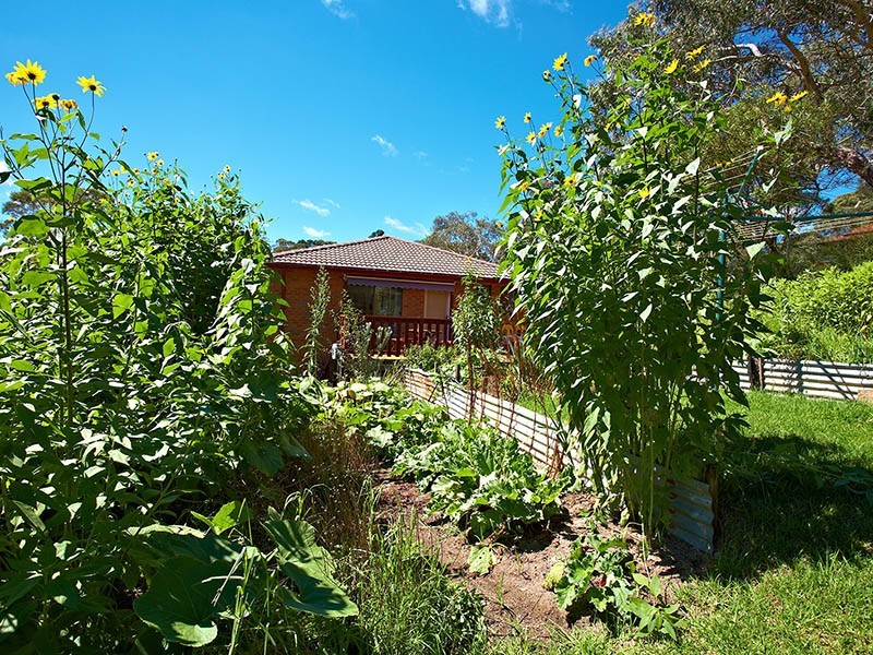67 Peckmans Road, Katoomba NSW 2780