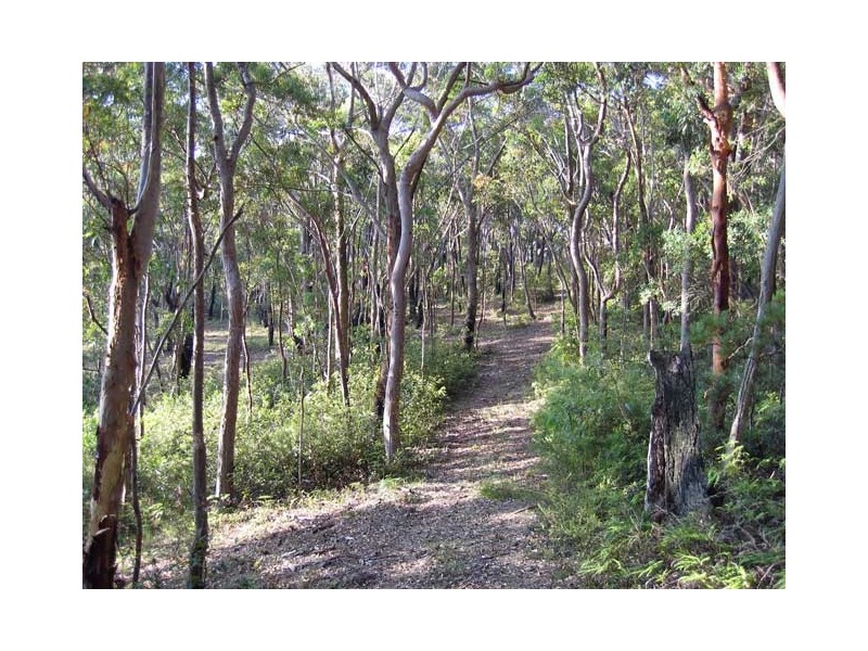 59 Genevieve Road, Bullaburra NSW 2784