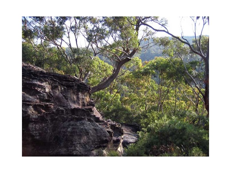 59 Genevieve Road, Bullaburra NSW 2784