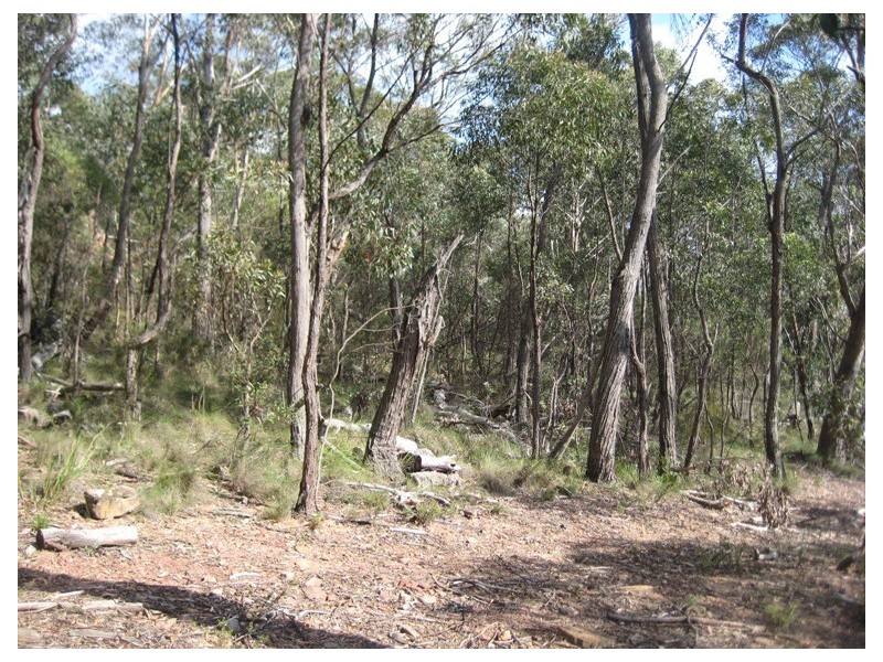 23 Salisbury Avenue, Mount Victoria NSW 2786