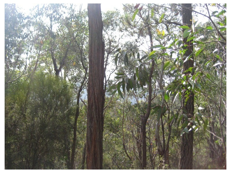 23 Salisbury Avenue, Mount Victoria NSW 2786