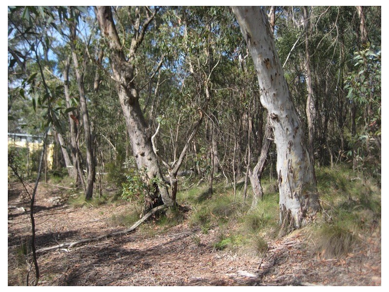 23 Salisbury Avenue, Mount Victoria NSW 2786