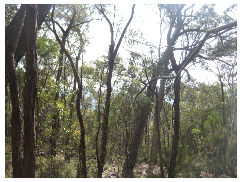 23 Salisbury Avenue, Mount Victoria NSW 2786