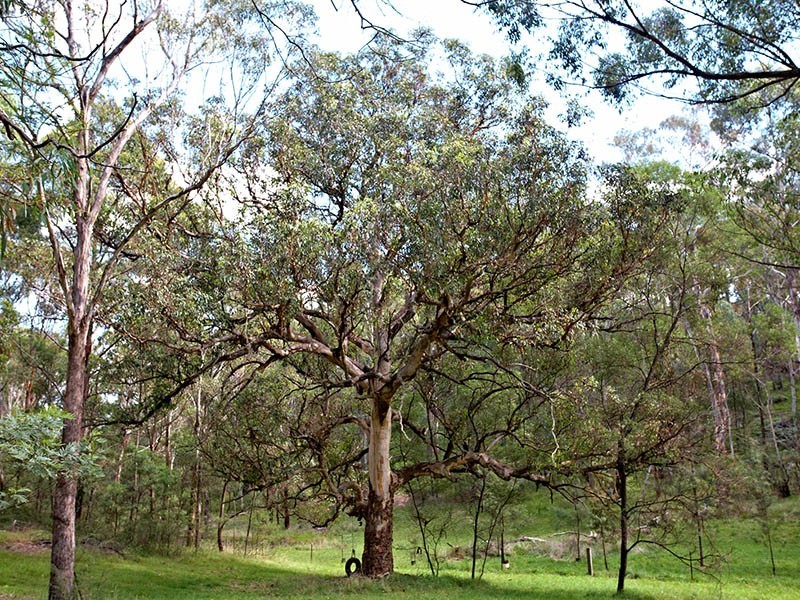 22 Pippin Place, Little Hartley NSW 2790