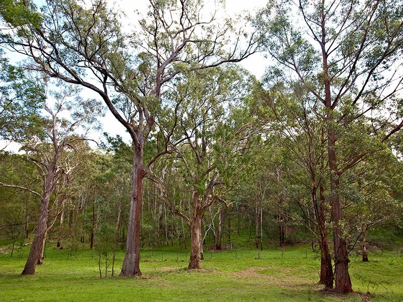 22 Pippin Place, Little Hartley NSW 2790