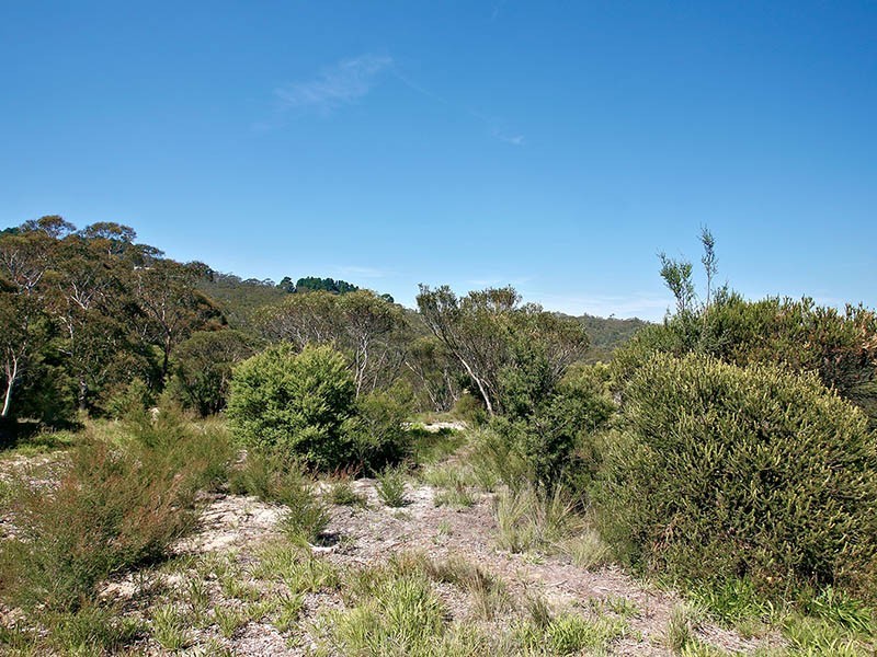 36 Kenny Street, Mount Victoria NSW 2786