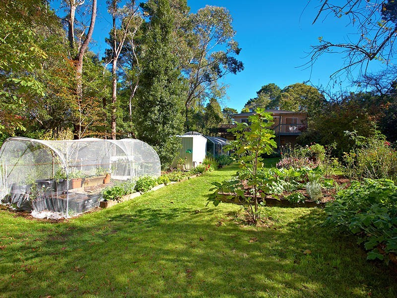 10 Noble Street, Bullaburra NSW 2784