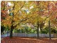 16 Belvidere Avenue, Blackheath NSW 2785