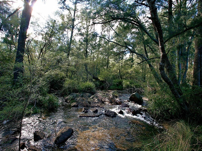 Lot 1 & 2 Walker Street, Hartley NSW 2790