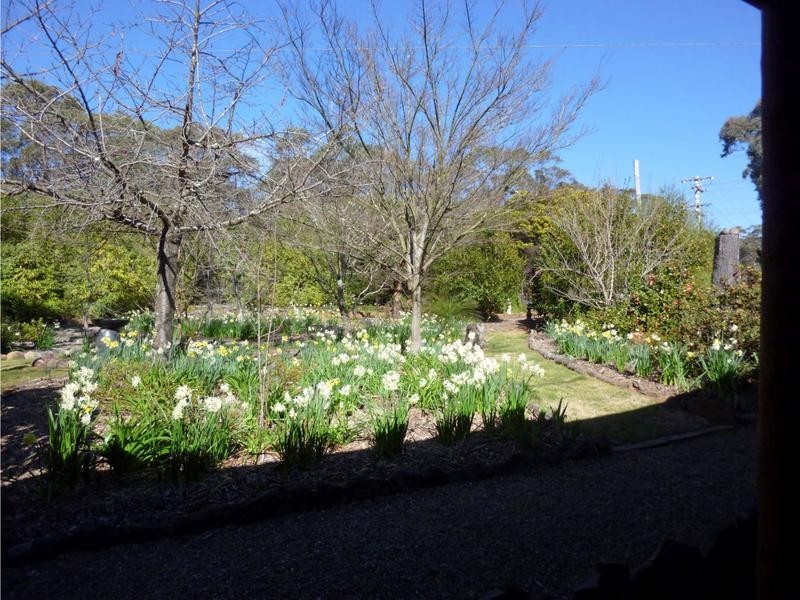 39 Somme Avenue, Wentworth Falls NSW 2782