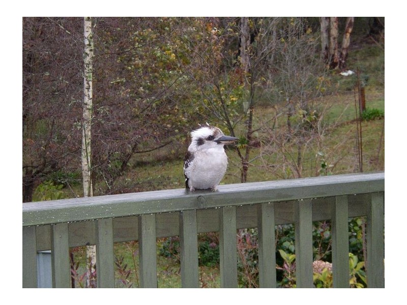 17 Monmouth Street, Mount Victoria NSW 2786