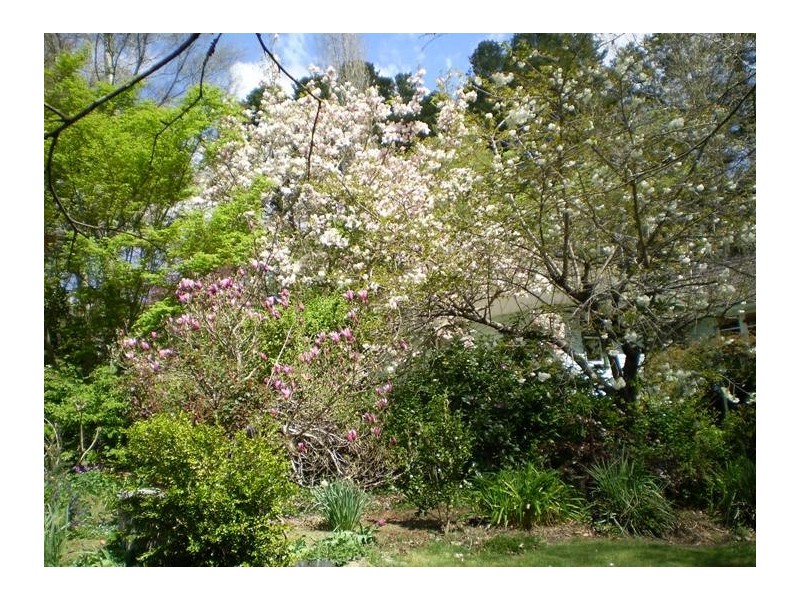 17 Monmouth Street, Mount Victoria NSW 2786