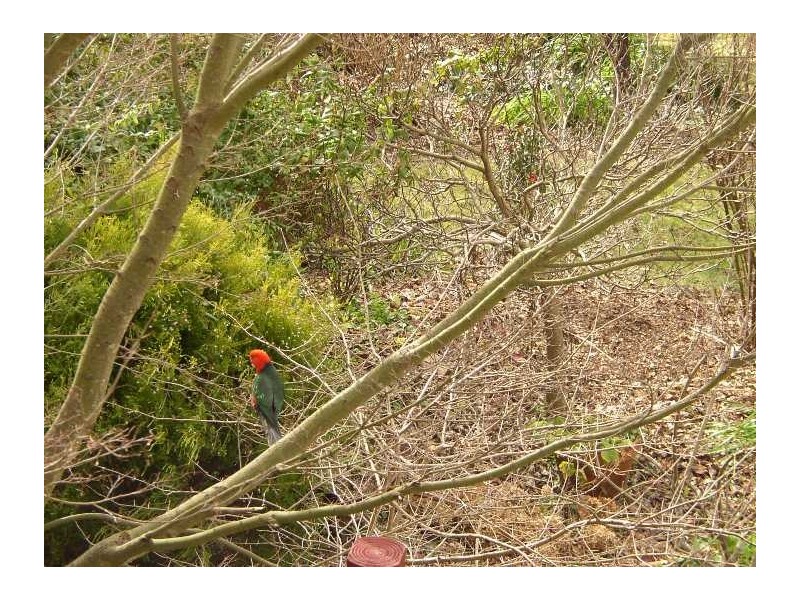 17 Monmouth Street, Mount Victoria NSW 2786