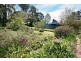 25 Cascade Street, Wentworth Falls NSW 2782