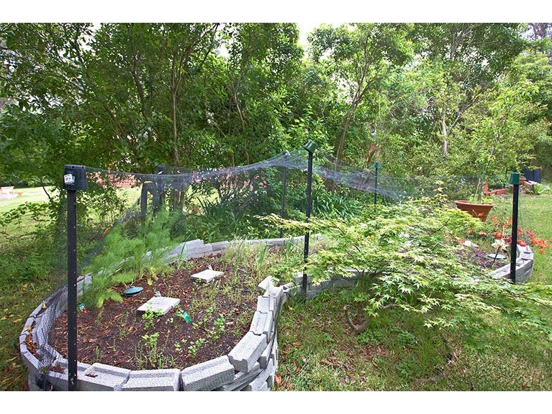 16 Genevieve Road, Bullaburra NSW 2784