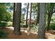 30 Railway Parade, Wentworth Falls NSW 2782