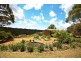 83 Stuarts Road, Katoomba NSW 2780