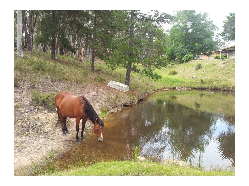 496 Blackheath Creek Road, Little Hartley NSW 2790