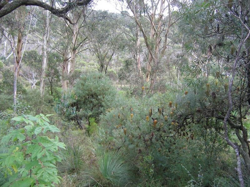 22 Gladstan Avenue, Katoomba NSW 2780