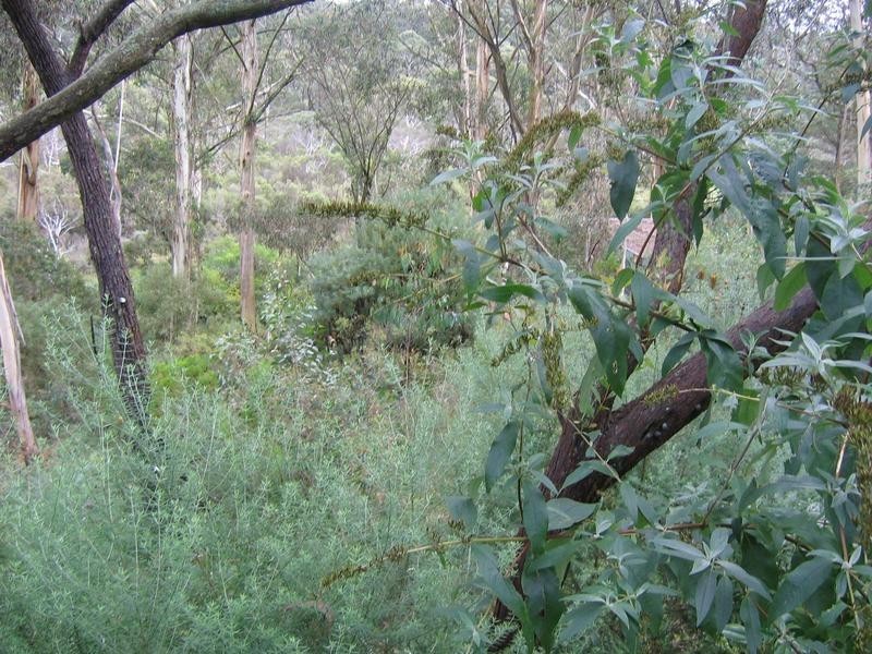 22 Gladstan Avenue, Katoomba NSW 2780