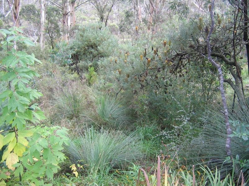 22 Gladstan Avenue, Katoomba NSW 2780