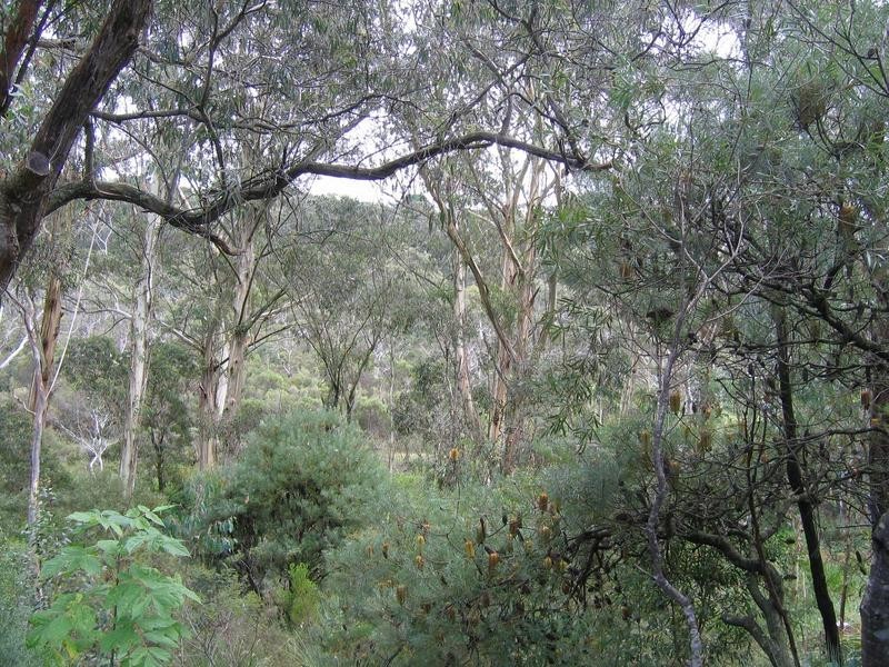 22 Gladstan Avenue, Katoomba NSW 2780