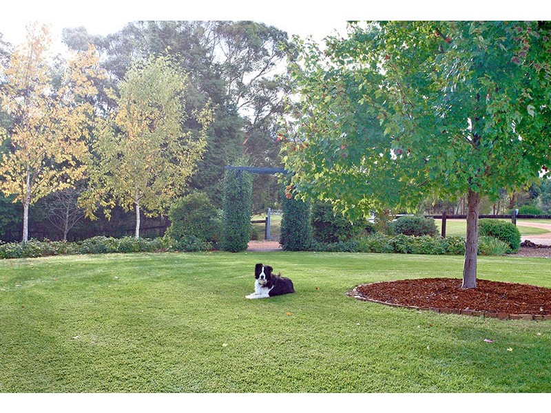 423 Cox’s River Road, Little Hartley NSW 2790