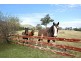 90 Blackheath Creek Road, Little Hartley NSW 2790