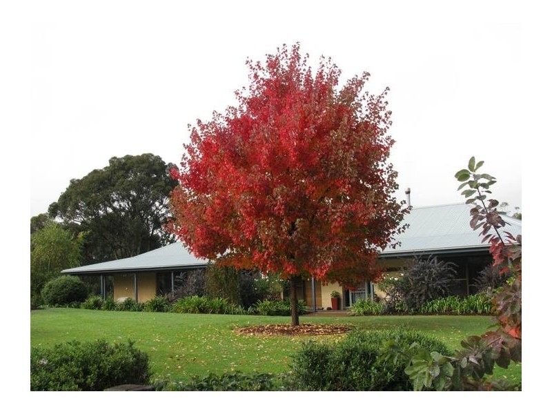 Lot 102, 423 Cox’s River Road, Little Hartley NSW 2790