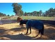 172 Blackheath Creek Road, Little Hartley NSW 2790