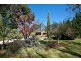 29 Brentwood Ave, Blackheath NSW 2785