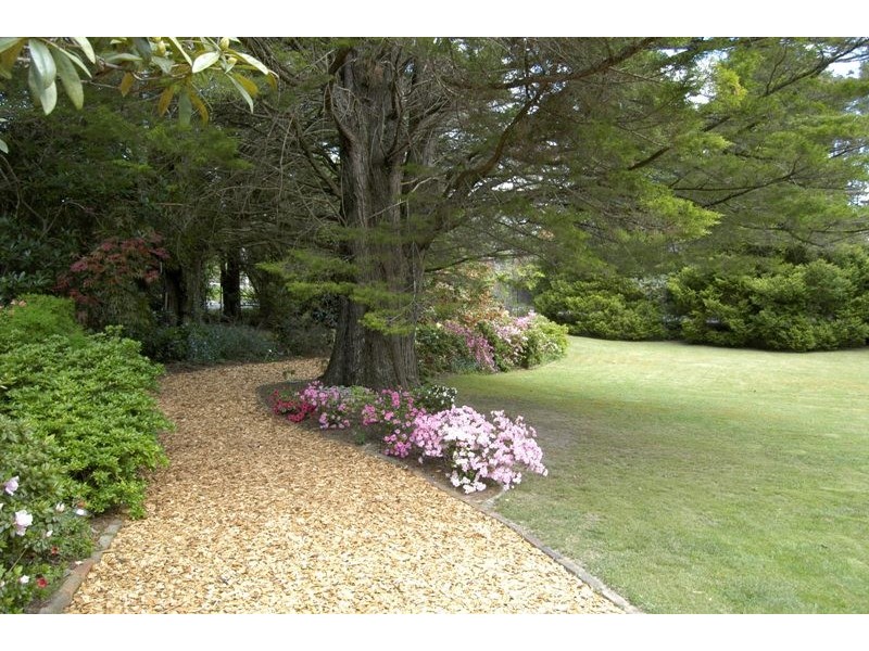 19 Wombat Street, Blackheath NSW 2785