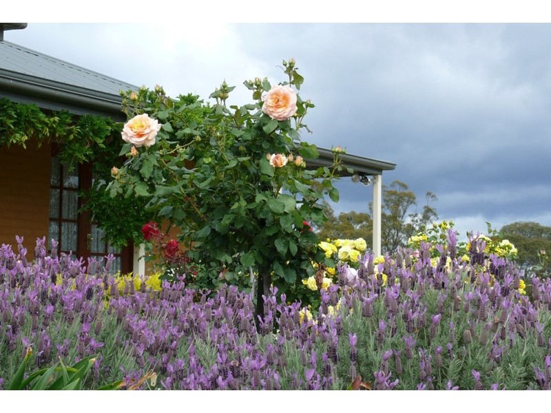 57 Bonnie Blink Drive, Little Hartley NSW 2790