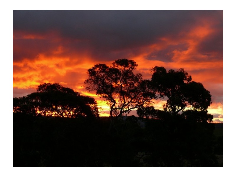 57 Bonnie Blink Drive, Little Hartley NSW 2790